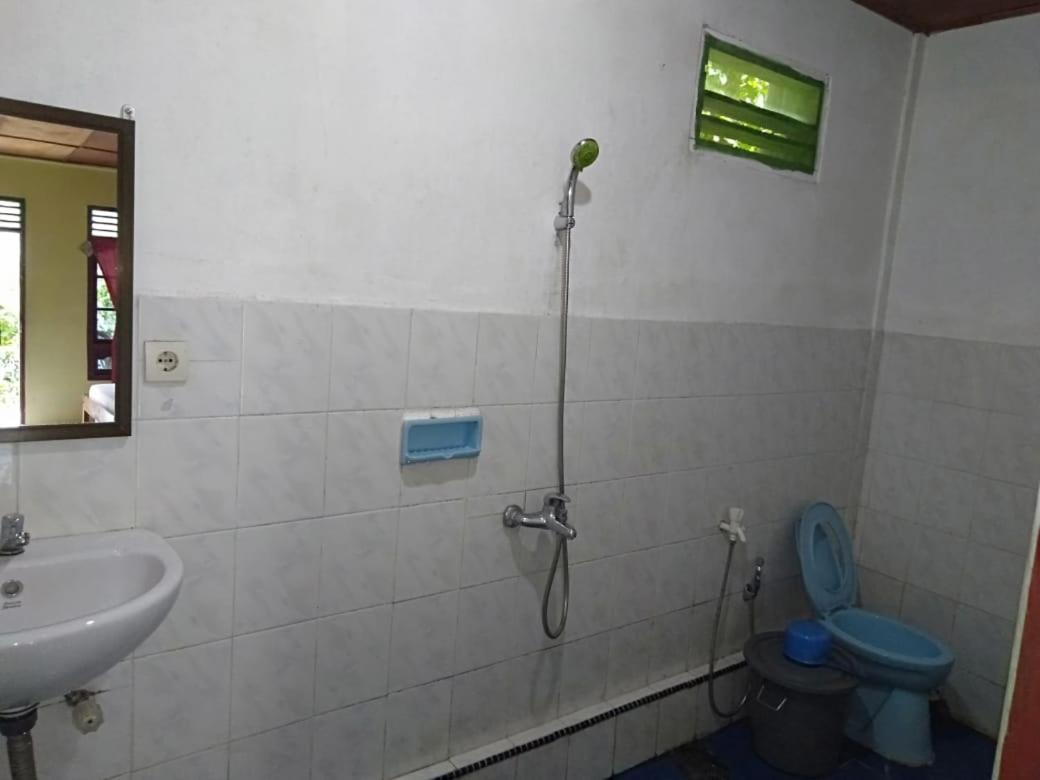 טוק טוק Sibayak Guesthouse מראה חיצוני תמונה